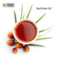 Aura Red Palm Restorative Massage & Body Oil