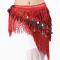 Belly Dance Coin and Fringe Hip Belt